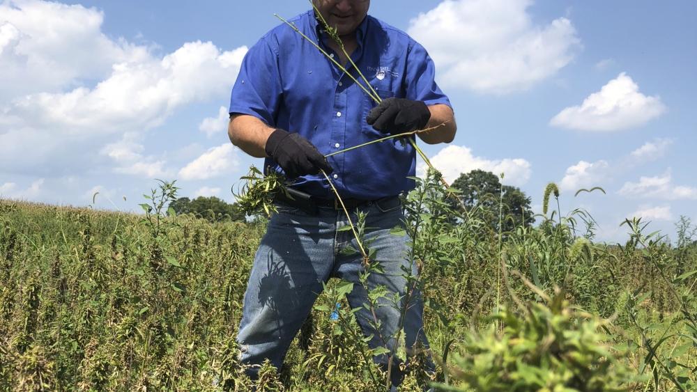 Penn State Scientists Expanding Work To Help Farmers Learn About ...